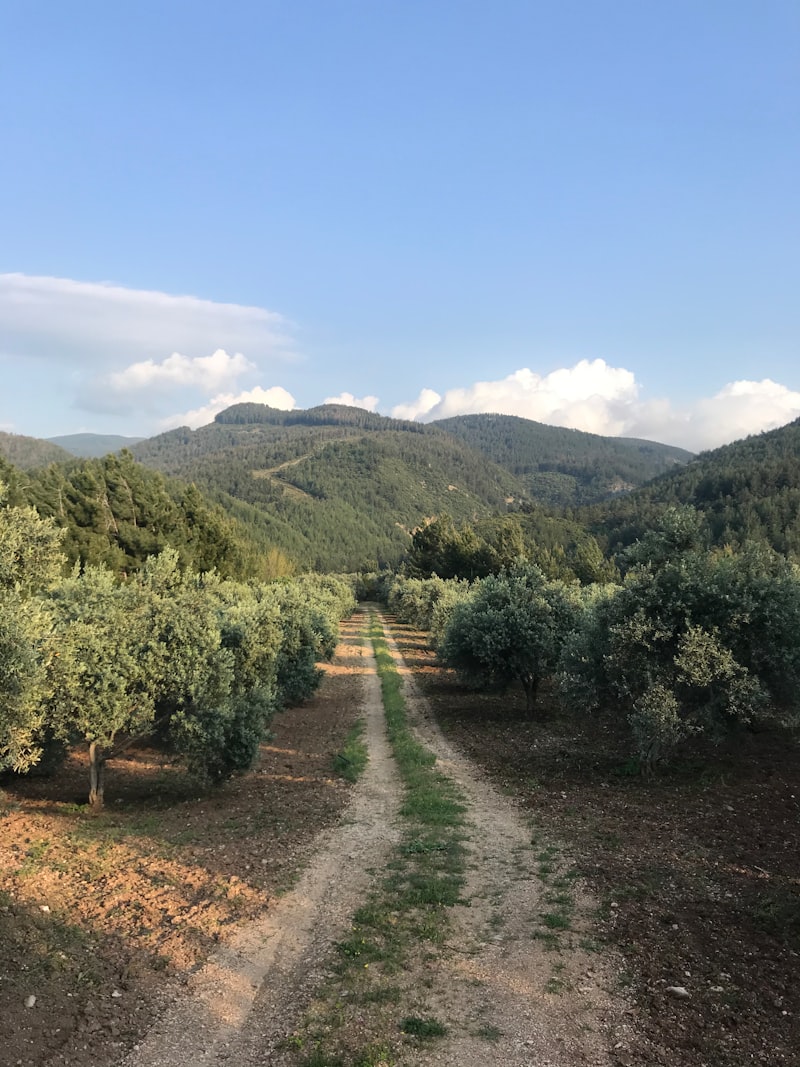 Osmaniye Tarihi Yerler Osmaniye Tarihi Yerler