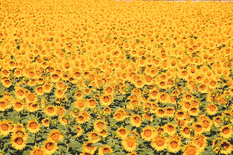 Yozgat Tarihi Yerler Yozgat Tarihi Yerler