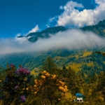 Rize ilçeleri 3 Rize ilçeleri