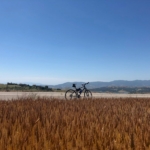 Tekirdağ ilçeleri 2 Tekirdağ ilçeleri