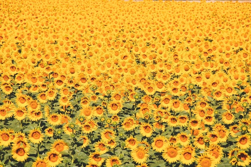 Yozgat Tarihi Yerler 1 Yozgat Tarihi Yerler